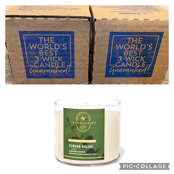 Bath & Body Works Accents 2 Bath Body Works Aromatherapy Eucalyptus